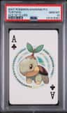 Turtwig