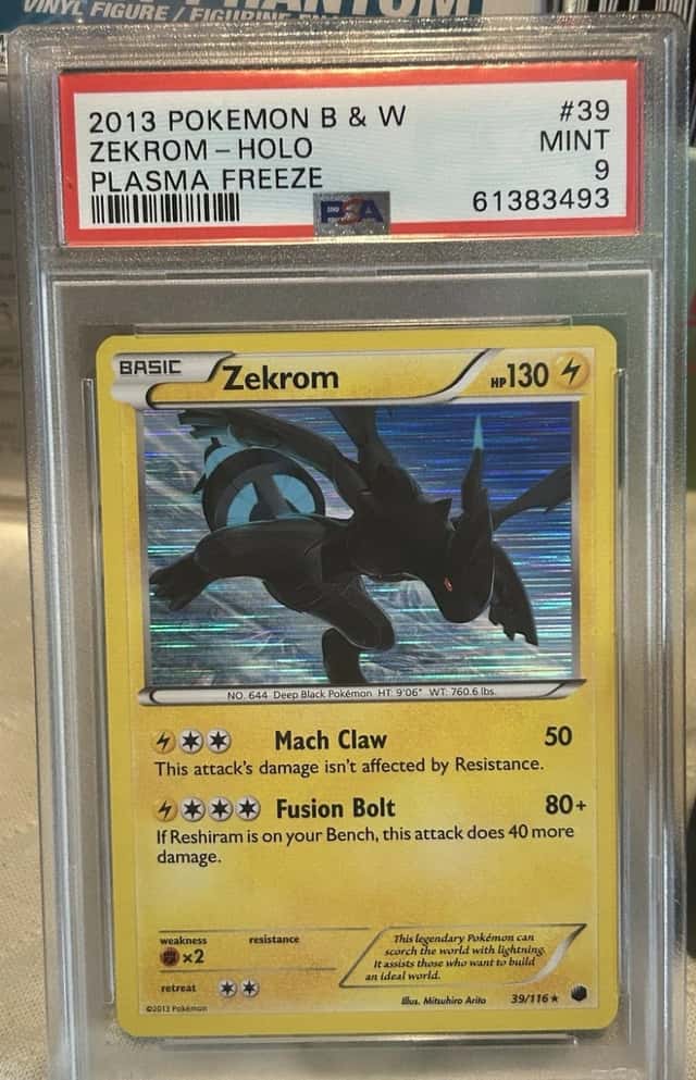 Zekrom