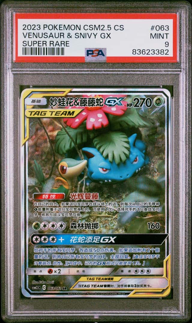 Venusaur & Snivy GX