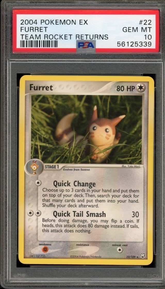 Furret
