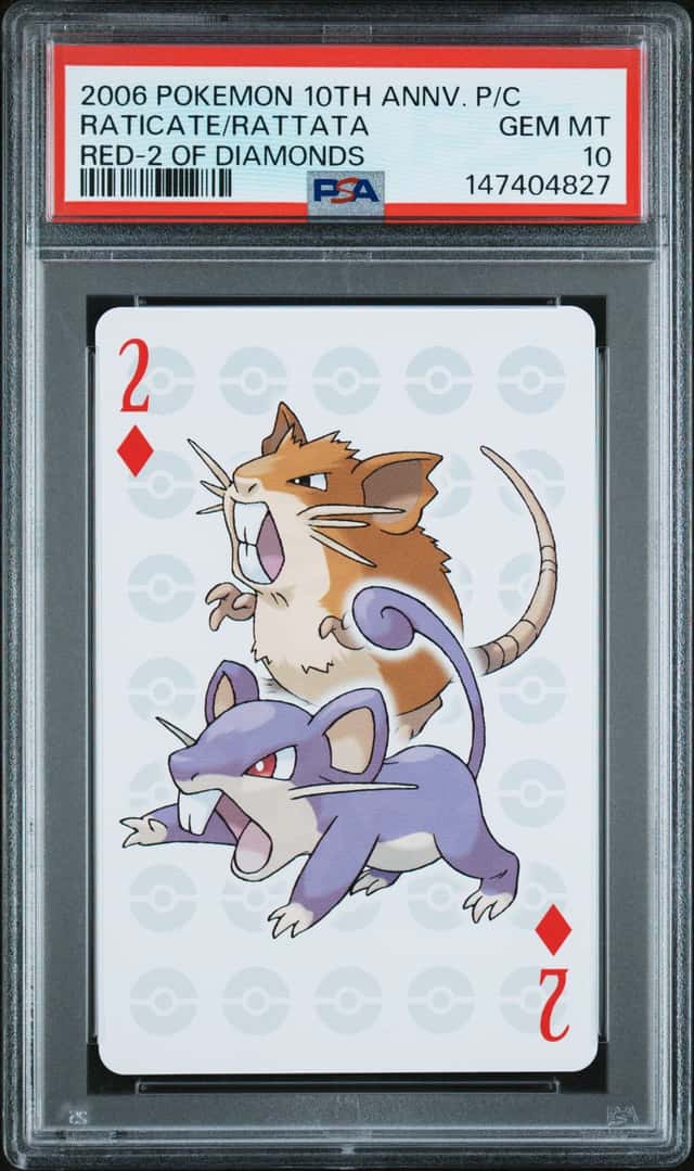 Raticate/Rattata