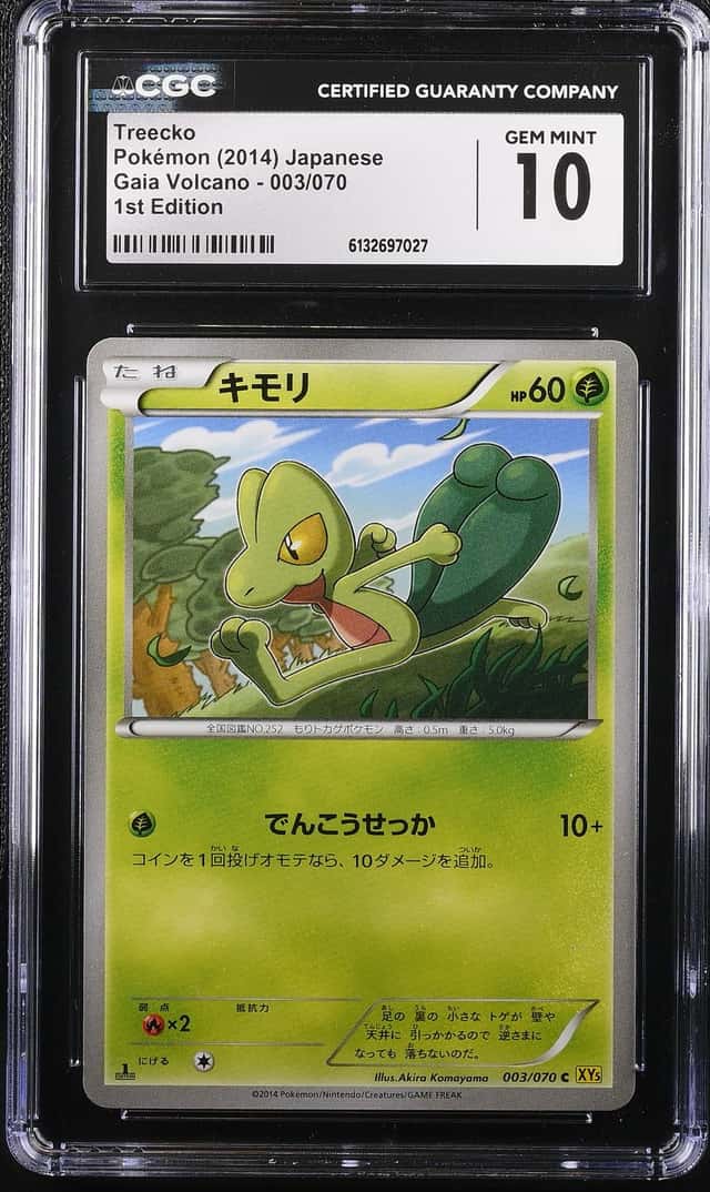Treecko