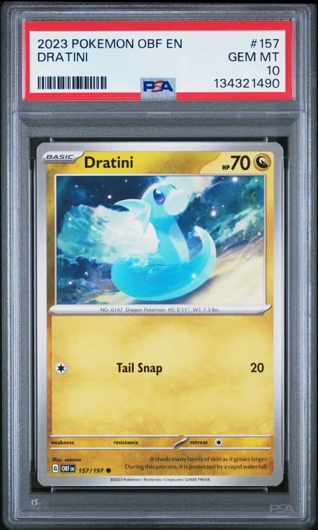 Dratini