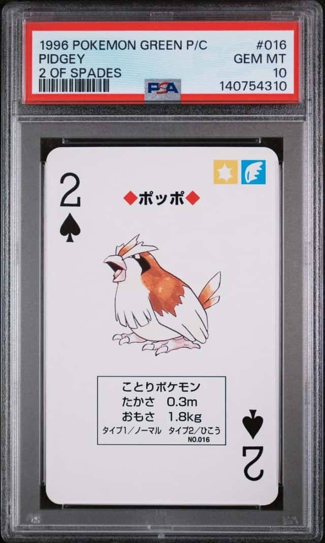 Pidgey