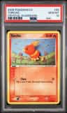 Torchic