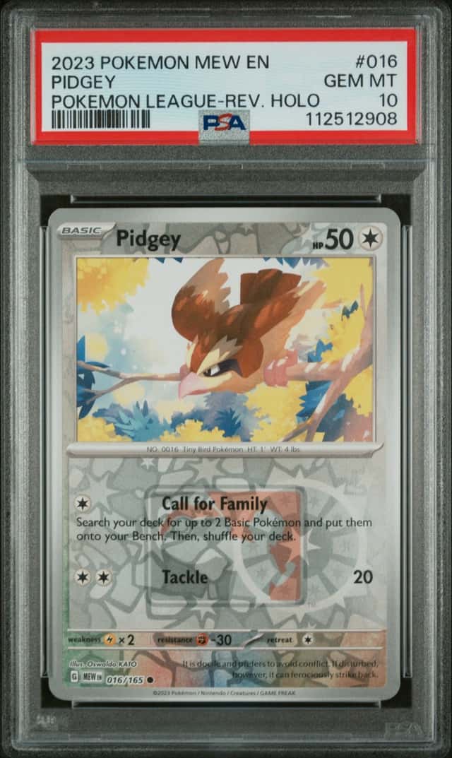 Pidgey