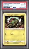 Caterpie