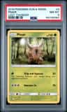 Pinsir