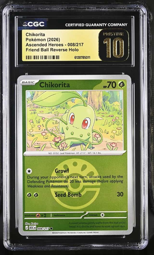 Chikorita