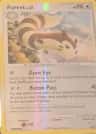 Furret