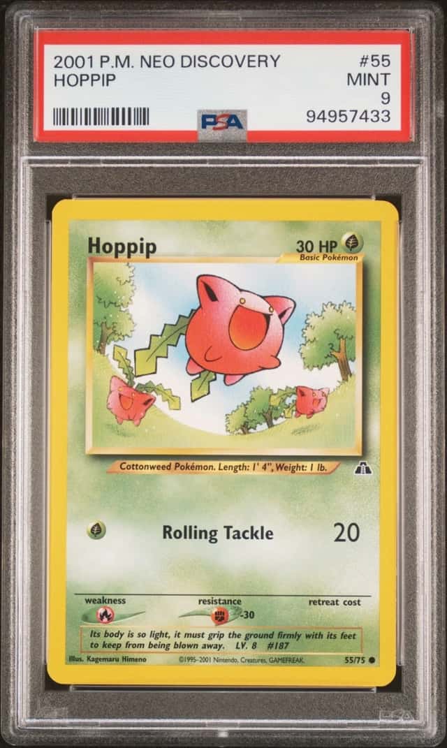 Hoppip