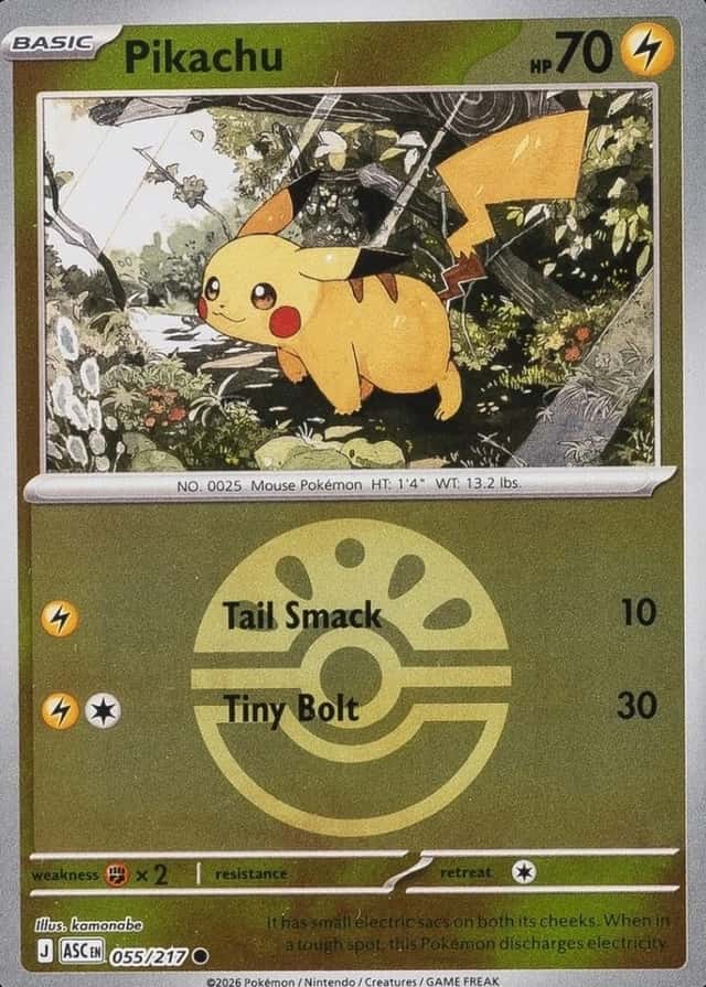 Reverse Holo