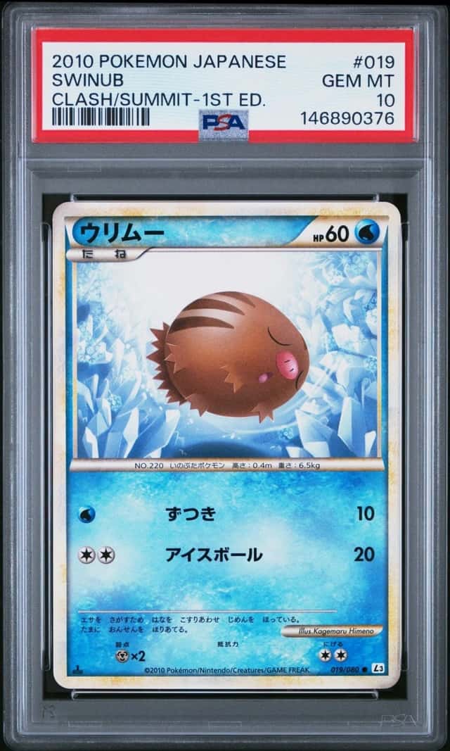 Swinub