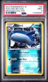 Wailord