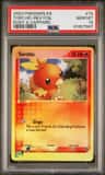 Torchic
