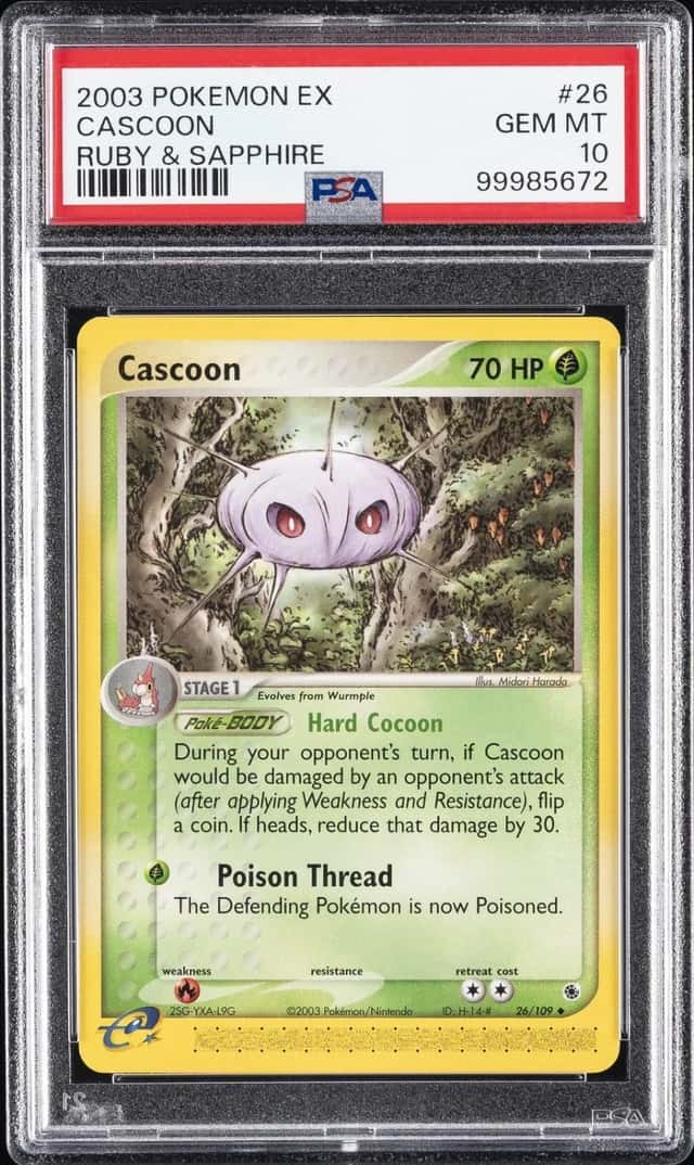 Cascoon