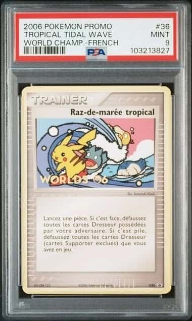Tropical Tidal Wave