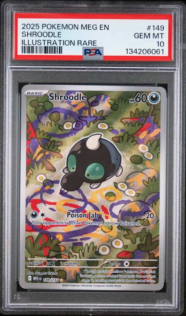 Shroodle