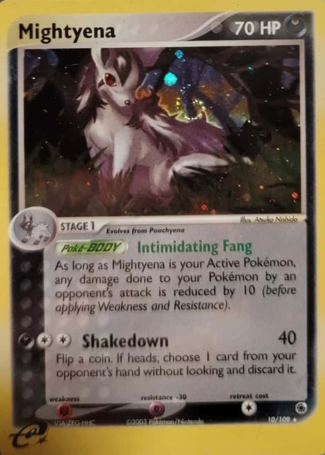 Holo