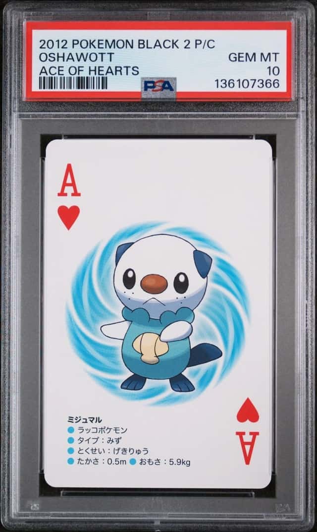 Oshawott