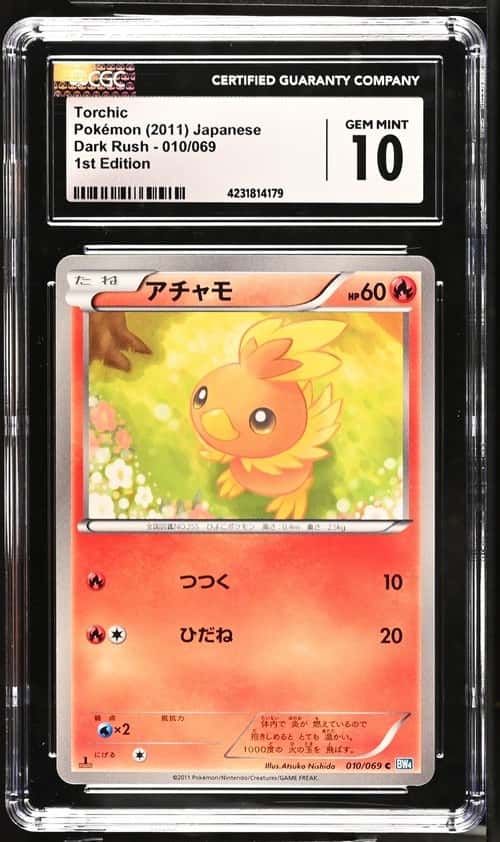 Torchic