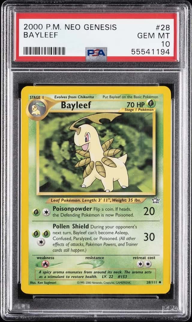 Bayleef