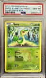Snivy