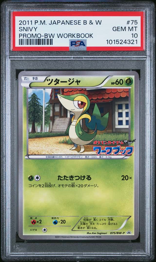 Snivy