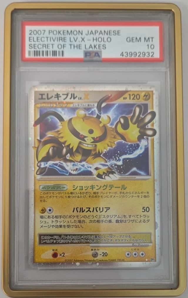 Electivire Lv X