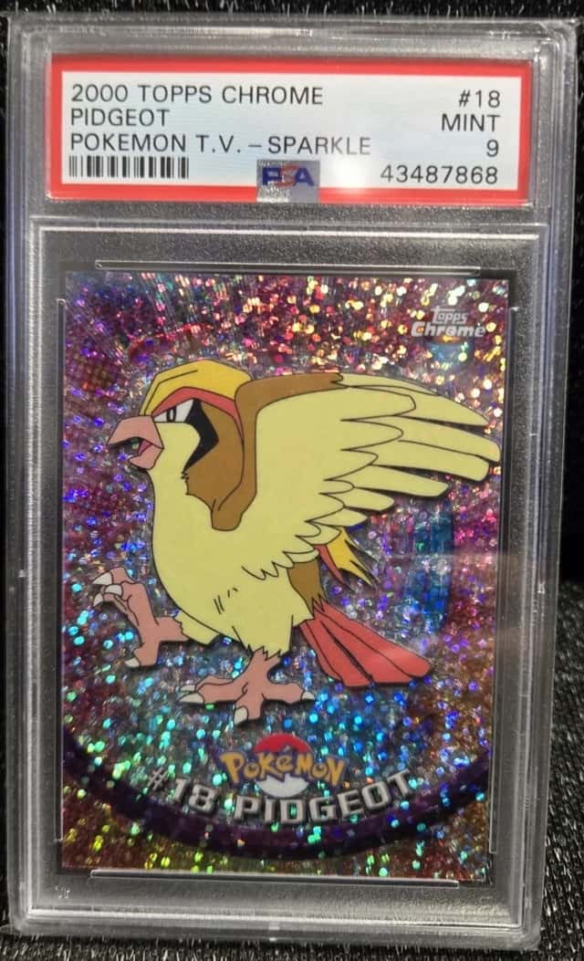 Pidgeot