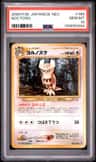 Noctowl