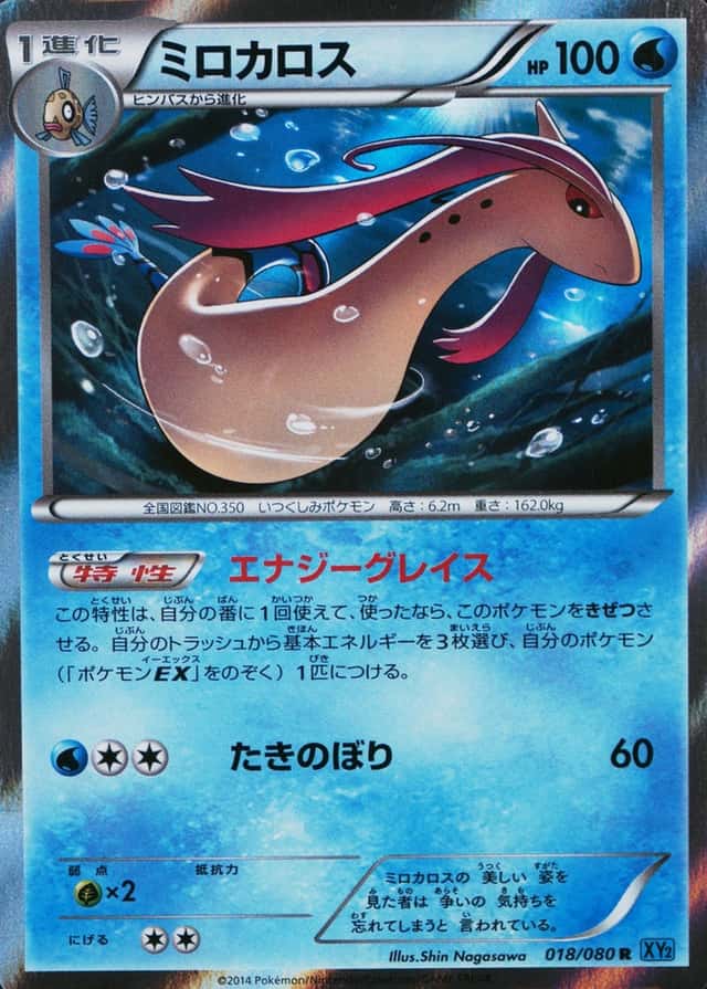 Base / no variant