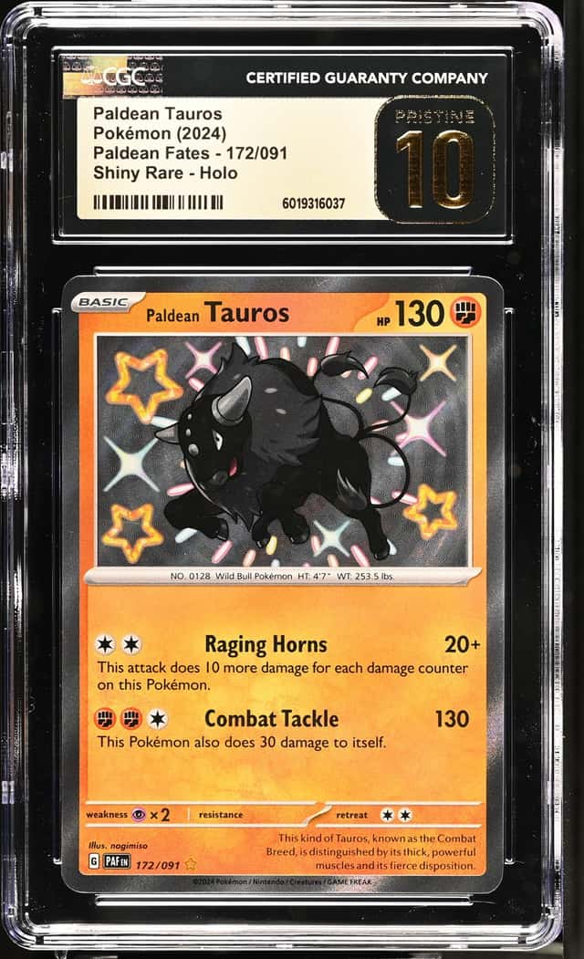 Paldean Tauros