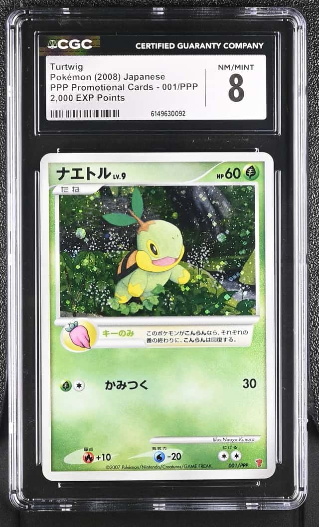 Turtwig