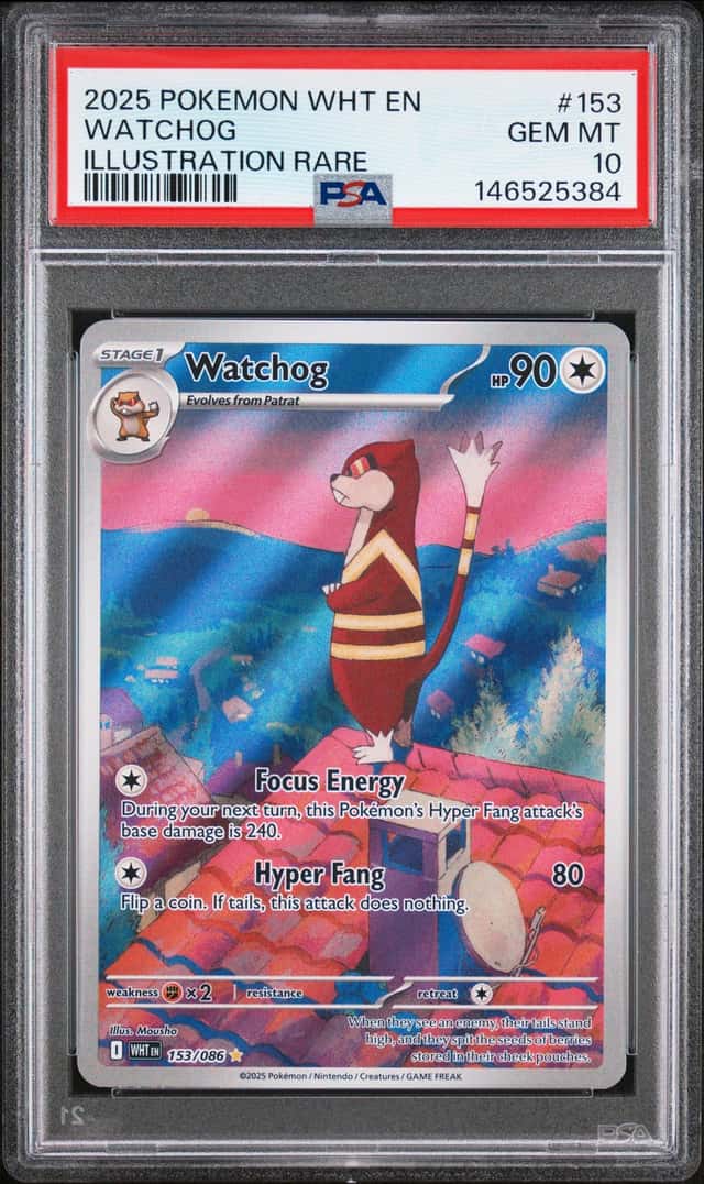 Watchog