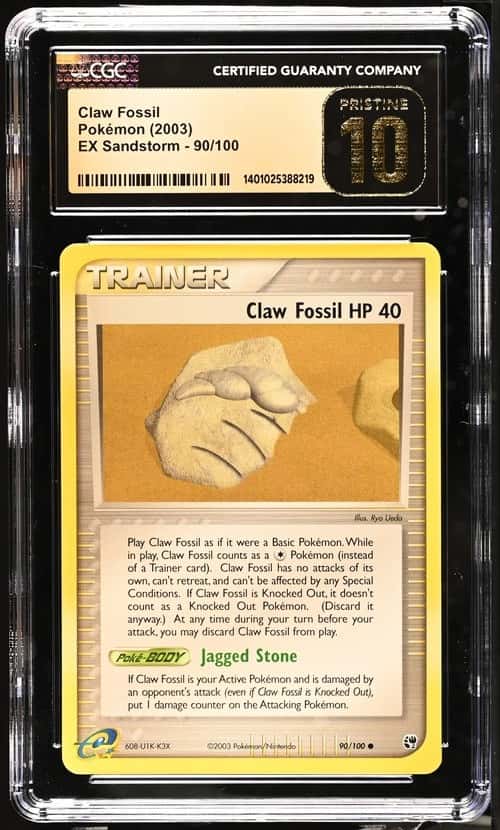 Claw Fossil