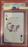 Rattata