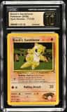Brock'S Sandshrew