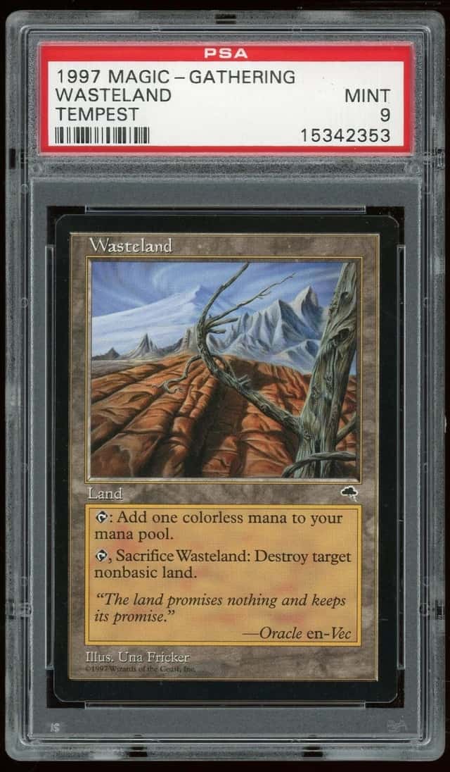 Wasteland