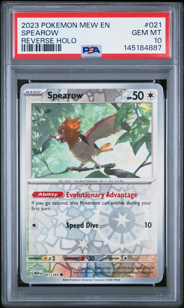 Spearow