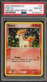Ponyta