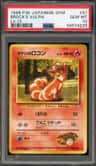 Brock'S Vulpix