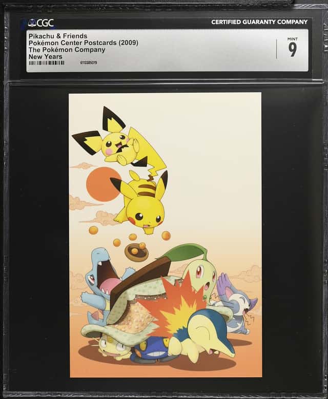 Pikachu & Friends