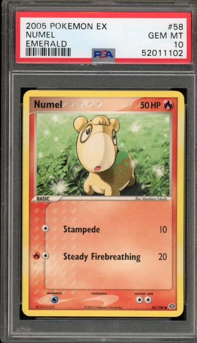 Numel