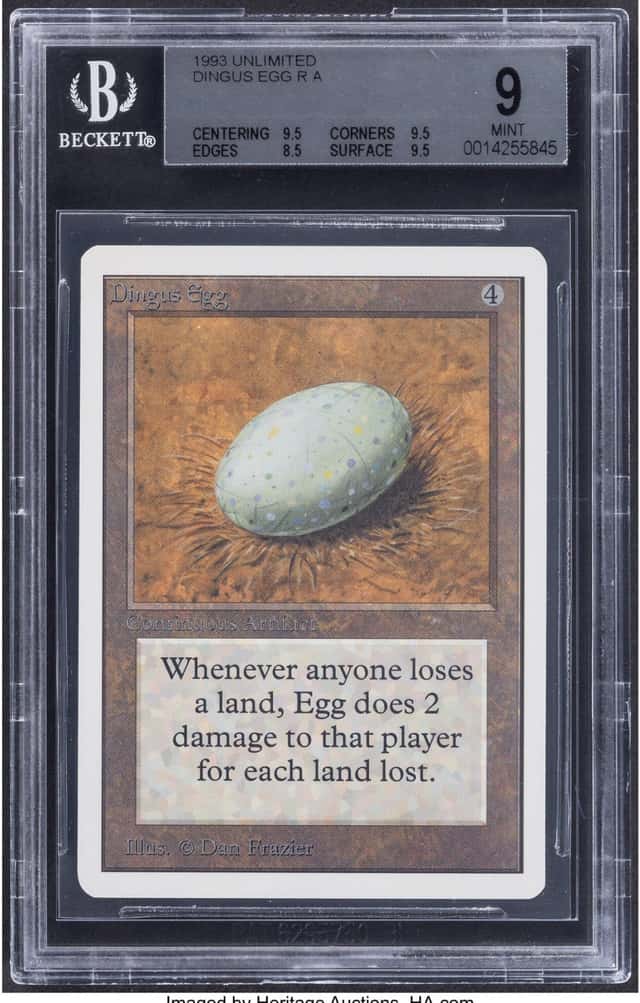 Dingus Egg R