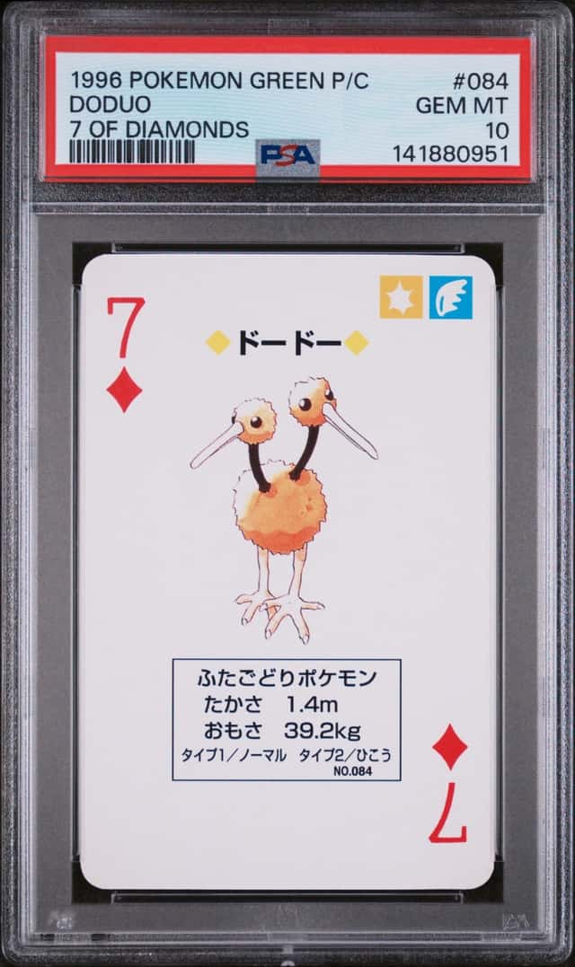 Doduo
