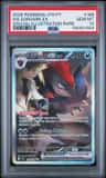 N'S Zoroark Ex