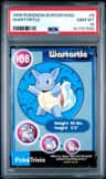 Wartortle