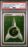 Grass Energy