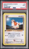 Pidgey